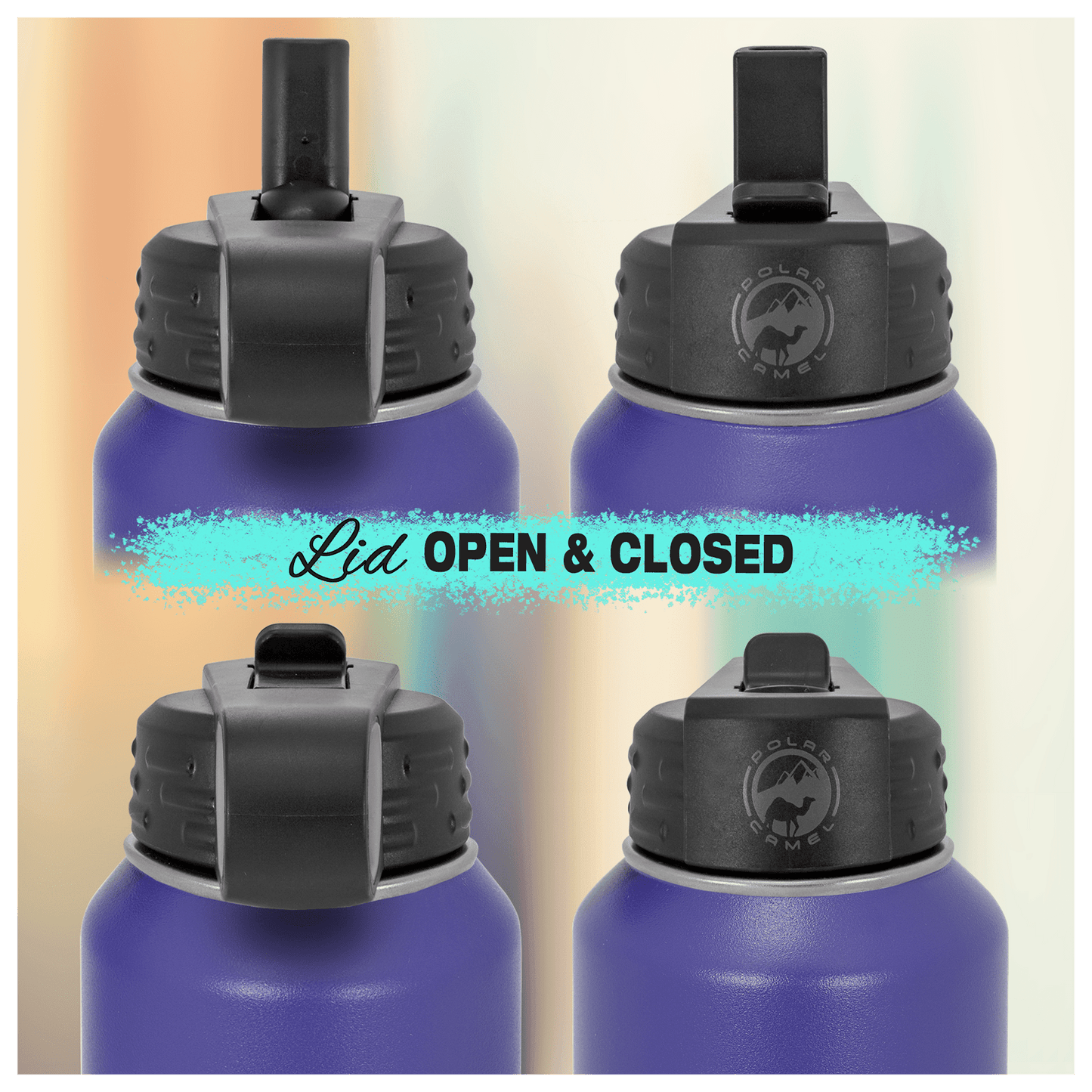 Colorful Eaton Water Bottle 12 oz